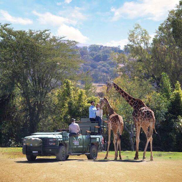 El campamento Watusi Watoto ofrece aventuras salvajes para niños y adolescentes en vacaciones. Foto: Áfricam Safari
