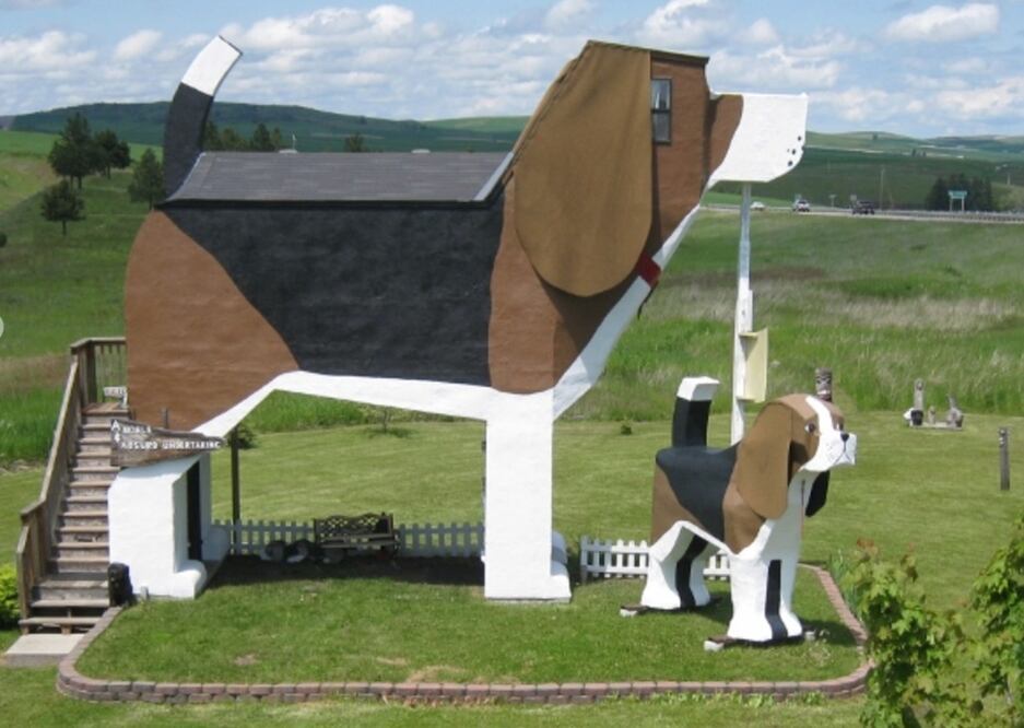 La única habitación del hotel Dog Bark Park Inn, tiene forma de un beagle gigante y se pueden hospedar 4 personas / Foto: Dog Bark Park Inn