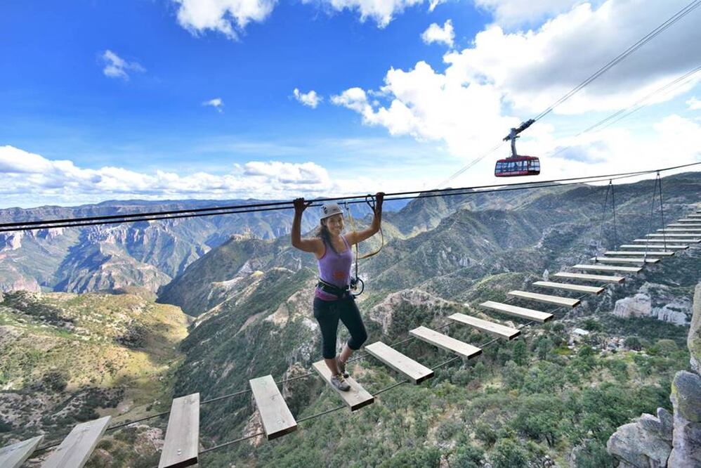 Foto: Fidetur Chihuahua