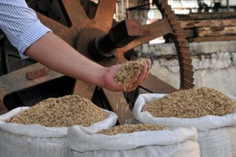 16 things which can only be produced in Mexico