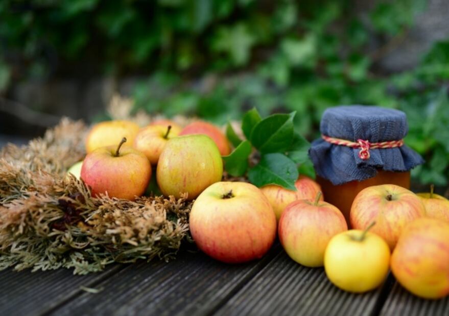 Cómo las manzanas ayudan a conservar la juventud