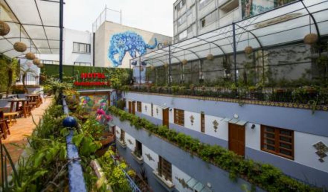 ​Las 7 terrazas en CDMX donde debes relajarte y tomar un trago