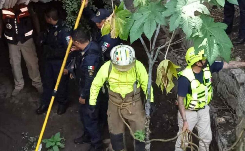 Los hechos ocurrieron en la colonia Santa Catarina, de la alcaldía Coyoacán. Foto: Especial