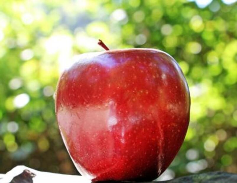 7 alimentos que ayudan a combatir la gastritis