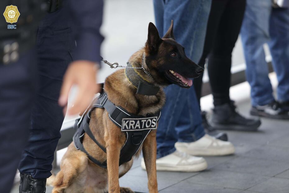 Para las revisiones se contó con el apoyo de dos binomios caninos especializados en la búsqueda de drogas y explosivos. (Foto: especial)