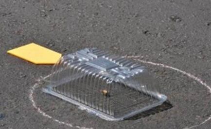 Thirteen killed in shooting in Sinaloa