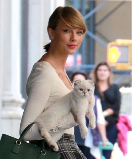 Taylor Swift una verdadera fan de "La ley y el orden: Unidad de víctimas especiales". Fuente: Instagram @taylorswift