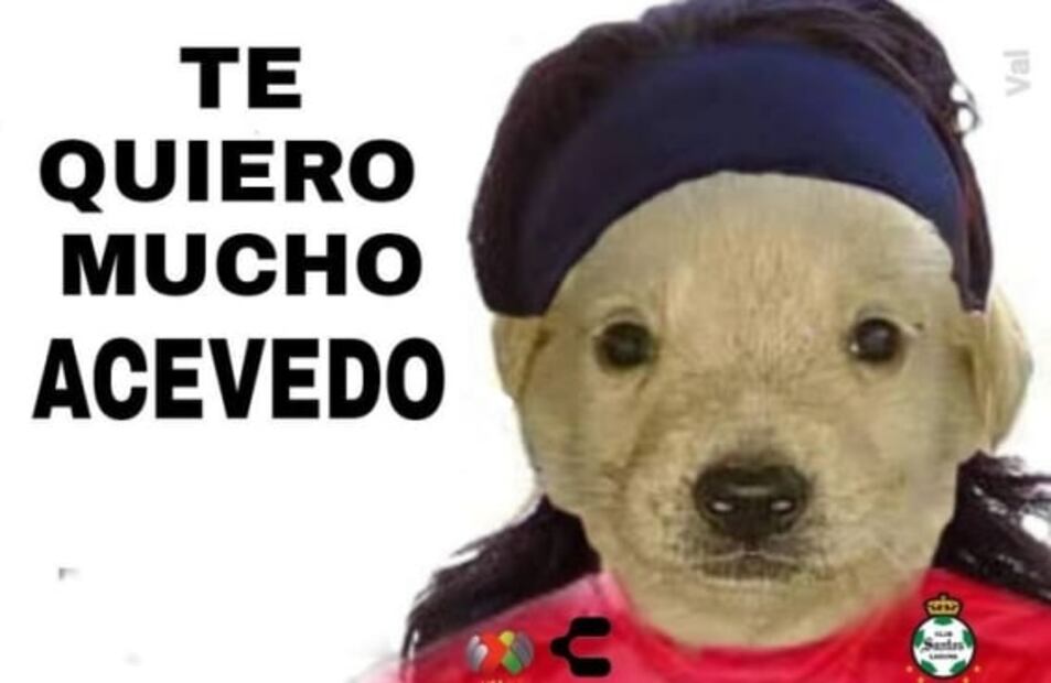 Los mejores memes del gol de Carlos Acevedo ante Querétaro