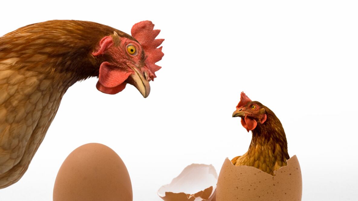 El dilema del huevo o la gallina ha prevalecido durante años