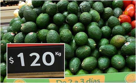 Kilo de aguacate alcanza los 129 pesos y sigue al alza: Profeco