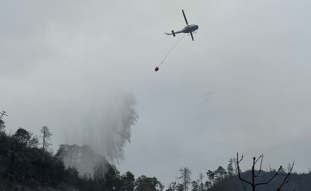 Accidente automovilístico en Nuevo León deja 10 muertos (23/03/2025). Foto: Especial