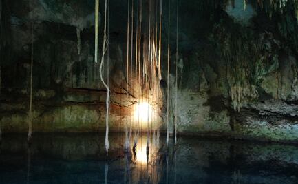 Tras limpieza de cenote, hallan pinturas rupestres; destaca un diente de megalodón