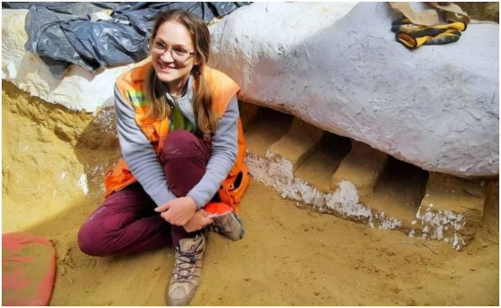 El nombre de la nueva especie de tiburón rinde homenaje al trabajo y dedicación de la paleontóloga chilena Patricia Canales. Foto: Redes Sociales