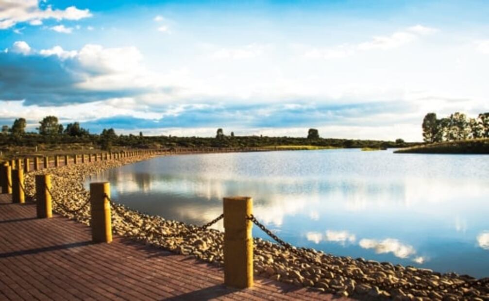 Desarrollos inmobiliarios ofrecen hasta 92% de plusvalía histórica anual