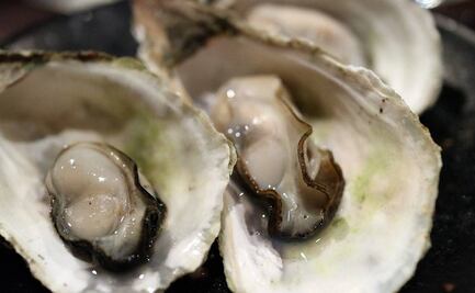 Hombre muere tras comer ostra con una bacteria carnívora