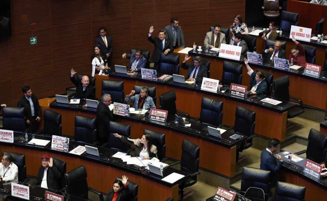 Van de la aprobación y discusión en lo general de la ley de las 40 horas durante la sesión el el pleno del Senado. Foto: Diego Simón Sánchez/ EL UNIVERSAL