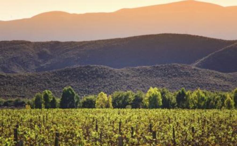 5 de los mejores destinos de México para el verano