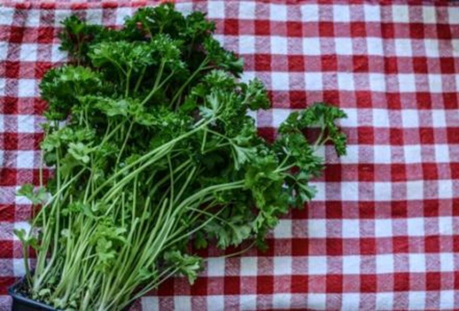 Los alimentos saludables más baratos