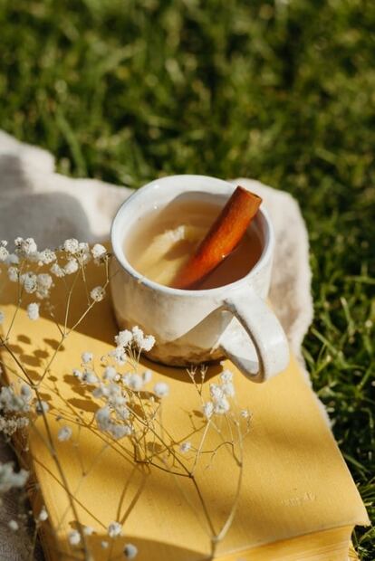 Conoce los beneficios de la infusión de guayaba con canela