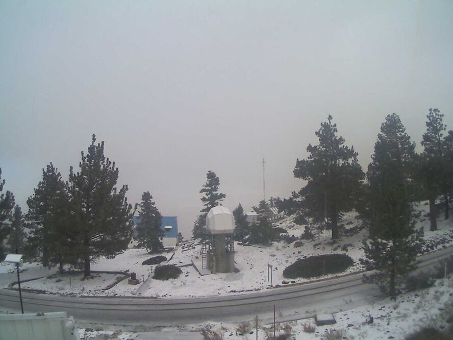 Foto: Twitter @metmex