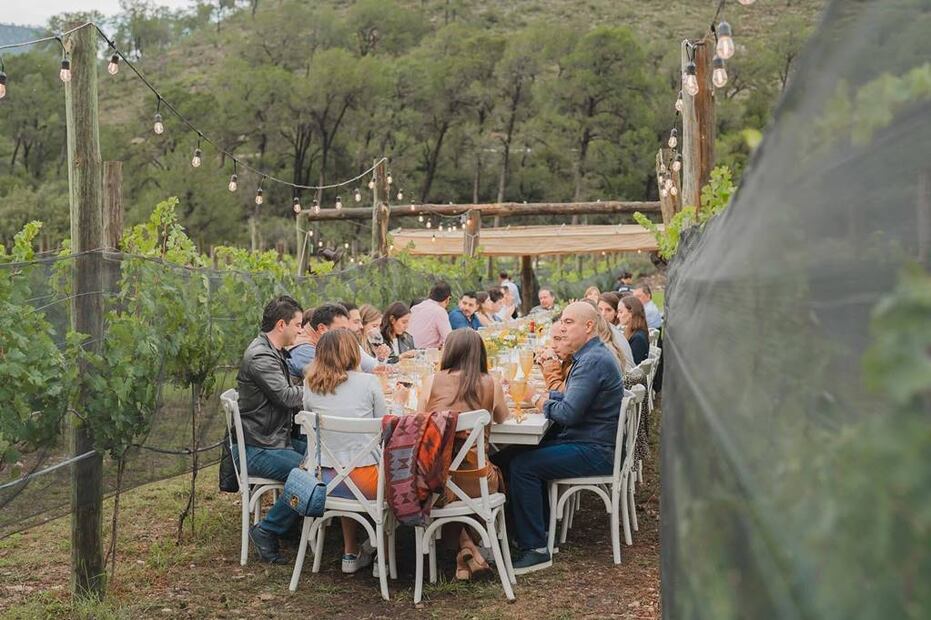 Foto: Bodega Terra Serena