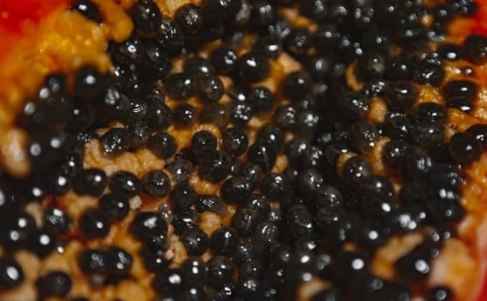 ¿Qué hacer con las semillas de la papaya?