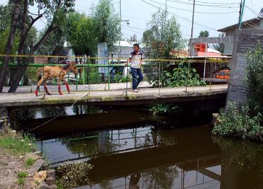 Destina Xochimilco 10 mdp a sistema de captación de agua de lluvia