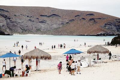 Playas, libres de riesgos sanitarios