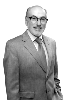 Luis Felipe Bravo Mena