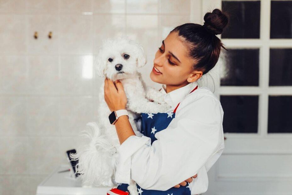 Razas de perros que requieren compañía constante. Fuente: Freepik.