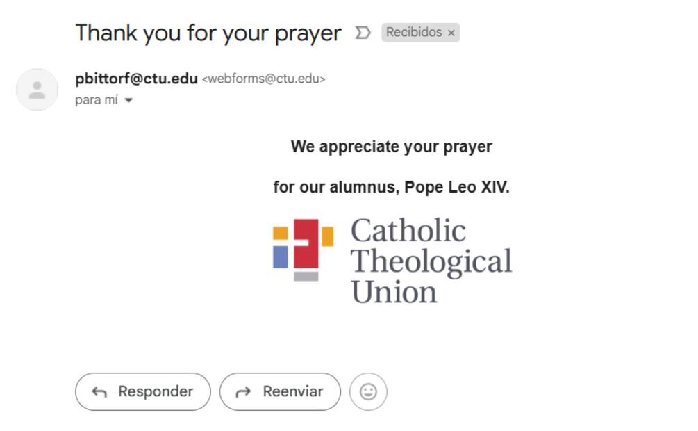 Respuesta del sitio web dedicado al papa León XIV | Captura de pantalla