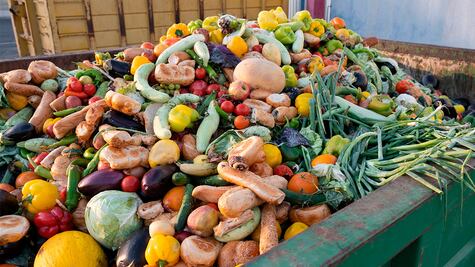 Desechos orgánicos, tesoros latentes