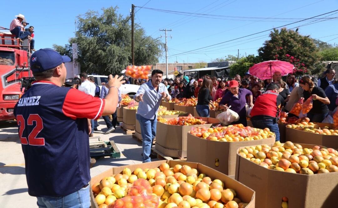 Foto: Especial / Secretaría de Salud, expuso que la ingesta de cítricos brinda fortaleza al sistema inmunológico