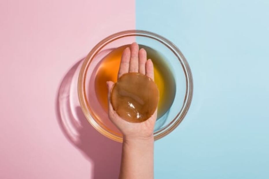 Qué es el kombucha y sus beneficios a la salud