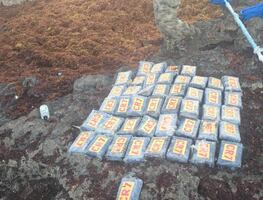 Aseguran 45 paquetes con cocaína en Playa del Carmen, Quintana Roo; estaban sellados con la leyenda "CR7"