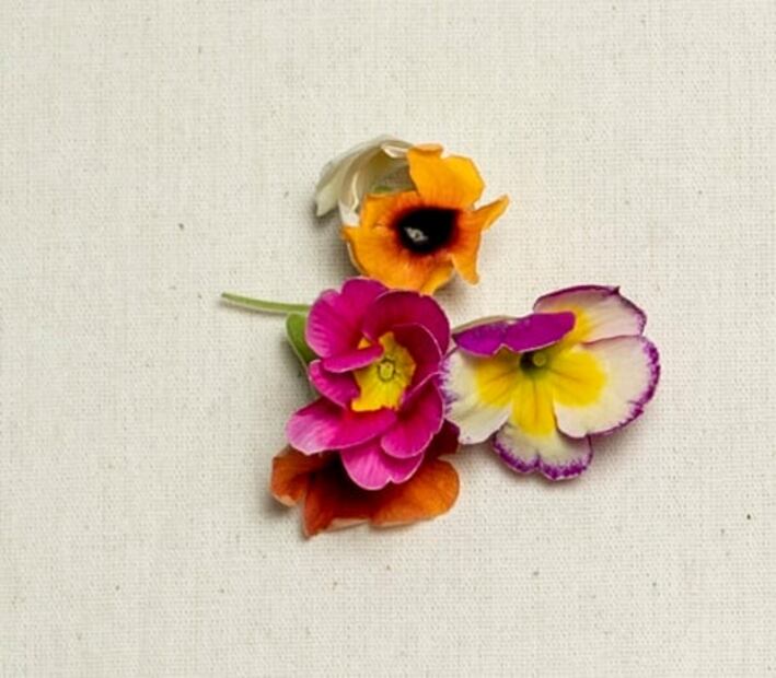 A esto saben las flores y los brotes cuando cocinas con ellos