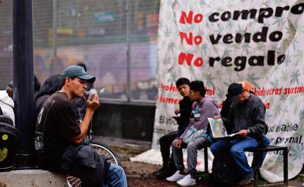 Cannabis, activismo por la regulación; “estos espacios eran inimaginables”