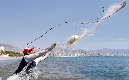 En Acapulco, pescan para sobrellevar el hambre