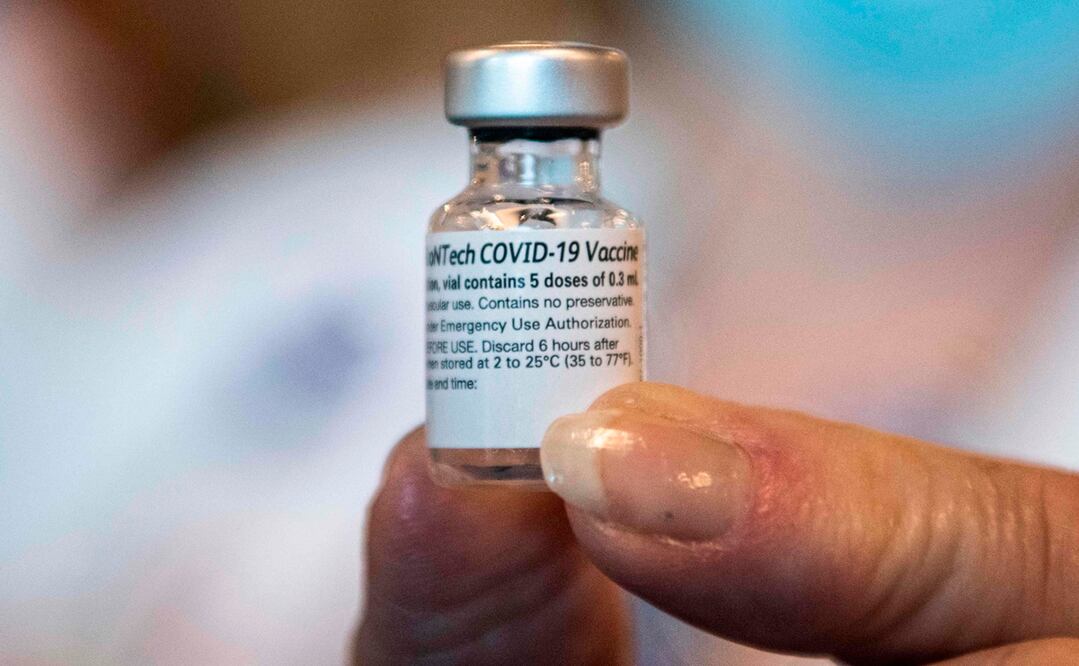 Cualquier persona a partir de los 5 años de edad puede recibir una vacuna de refuerzo actualizada de Pfizer-BioNTech o Moderna. Foto: AFP