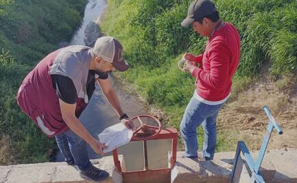 Hacienda detecta operaciones simuladas por facturas falsas por casi 6 mil mdp en lo que va del año