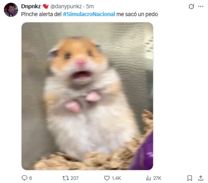 Memes. Foto: Captura de pantalla X