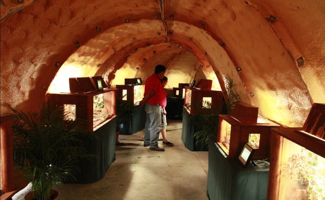Profepa asegura 62 reptiles y un anfibio en herpetario de Six Flags. Foto: Archivo/E UNIVERSAL