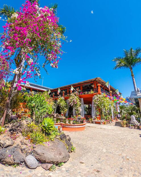 Foto: OCV Puerto Vallarta