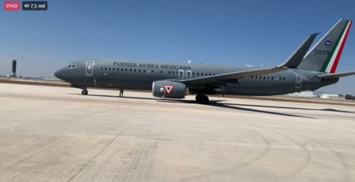 "Bienvenido a México, Proteo": reciben al perro rescatista que murió en Turquía