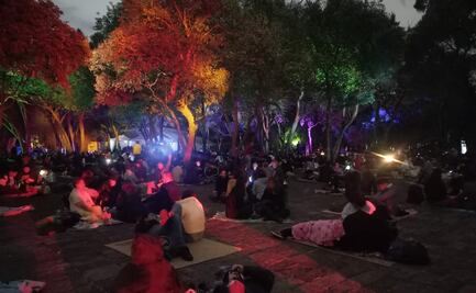 ¿Sin plan para este puente? Este picnic nocturno en Chapultepec te puede interesar 