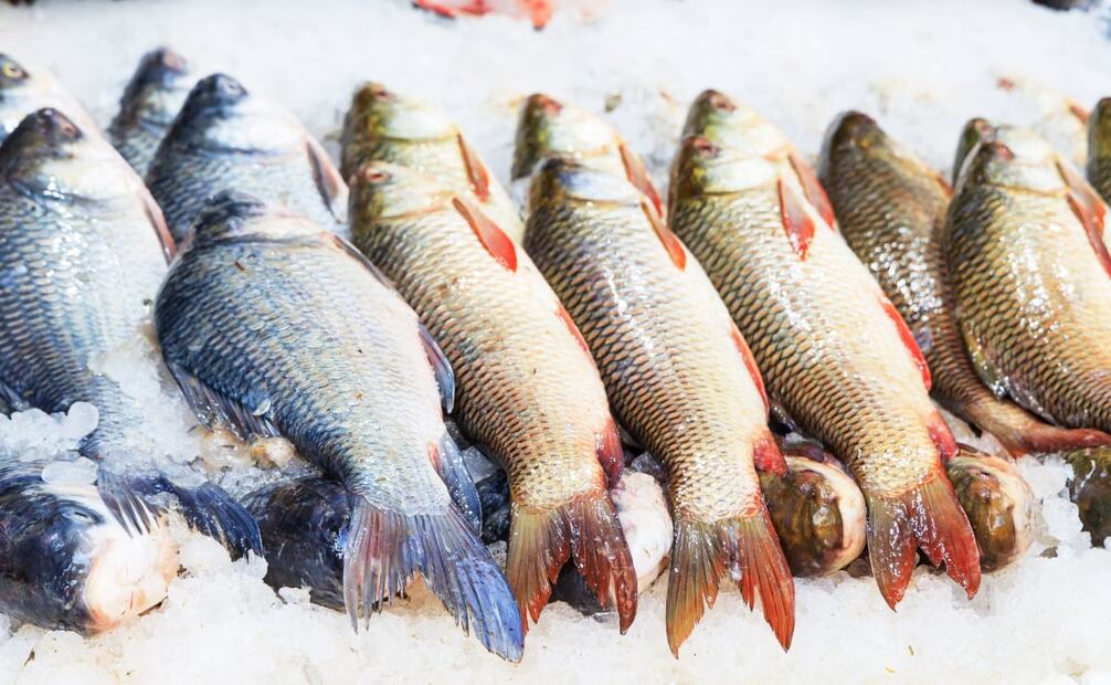 Compra de la mejor manera en uno de los mercados de pescados y mariscos más importantes del país. Imagen: Unsplash