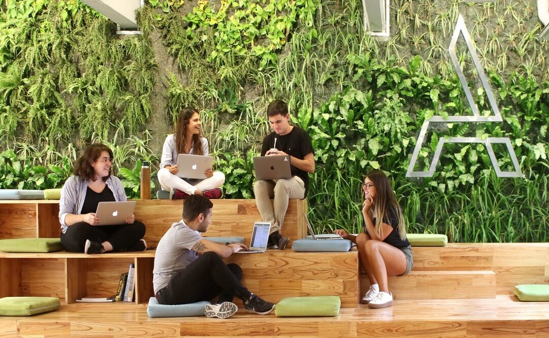 Por qué todos buscan trabajar en tecnología