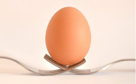 Lanzaron un huevo desde el espacio y esto fue lo que sucedió