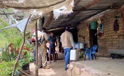 Brote de dengue se extiende a 8 municipios de Guanajuato, suman 80 casos en lo que va del año