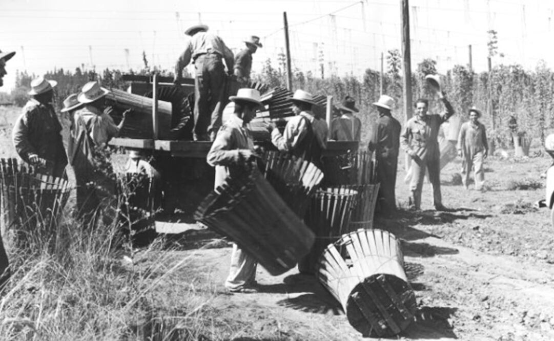 Braceros mexicanos en Oregón, Estados Unidos, años 40. En enero de 1910, el diario El Paso Herald publicó la editorial Amabilidad para los mexicanos, donde exigió que, “desde la más alta a la más baja clase, el visitante mexicano, sea turista o trabajador, debería ser tratado con decencia”. Foto: Oregon State University/Wikimedia Commons